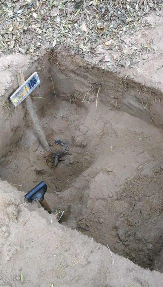 Brigadas continúan la búsqueda de fosas en Arbolillo y La Guapota