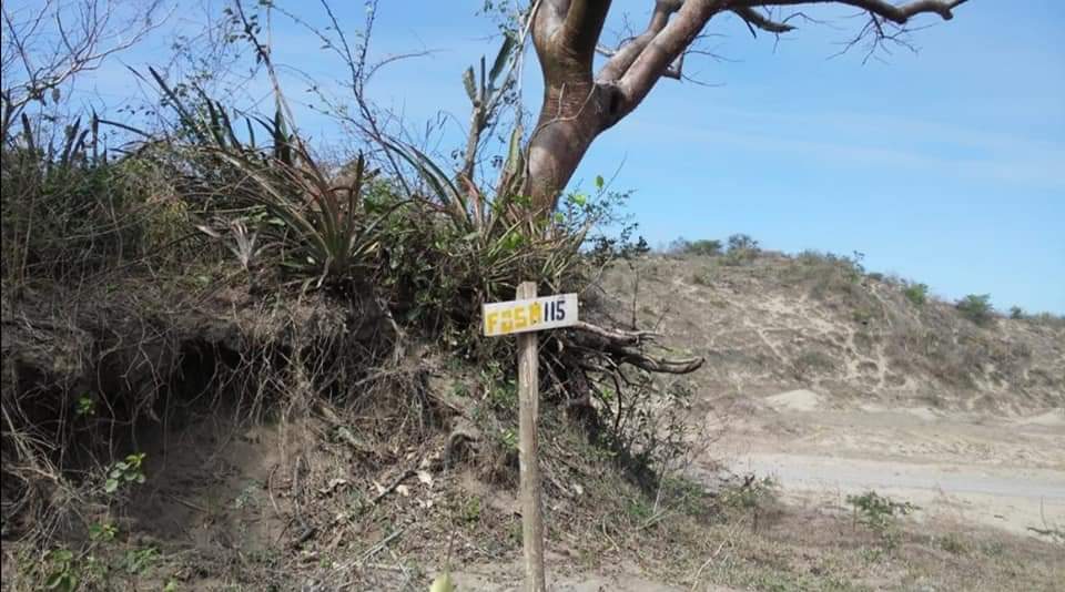 Cierran trabajos en la fosa clandestina de Arbolillo, Alvarado, rescatan 73 cuerpos en total
