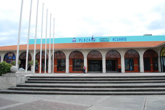 Retrasan nombramientos de  Consejo del Aquarium de Puerto Veracruz