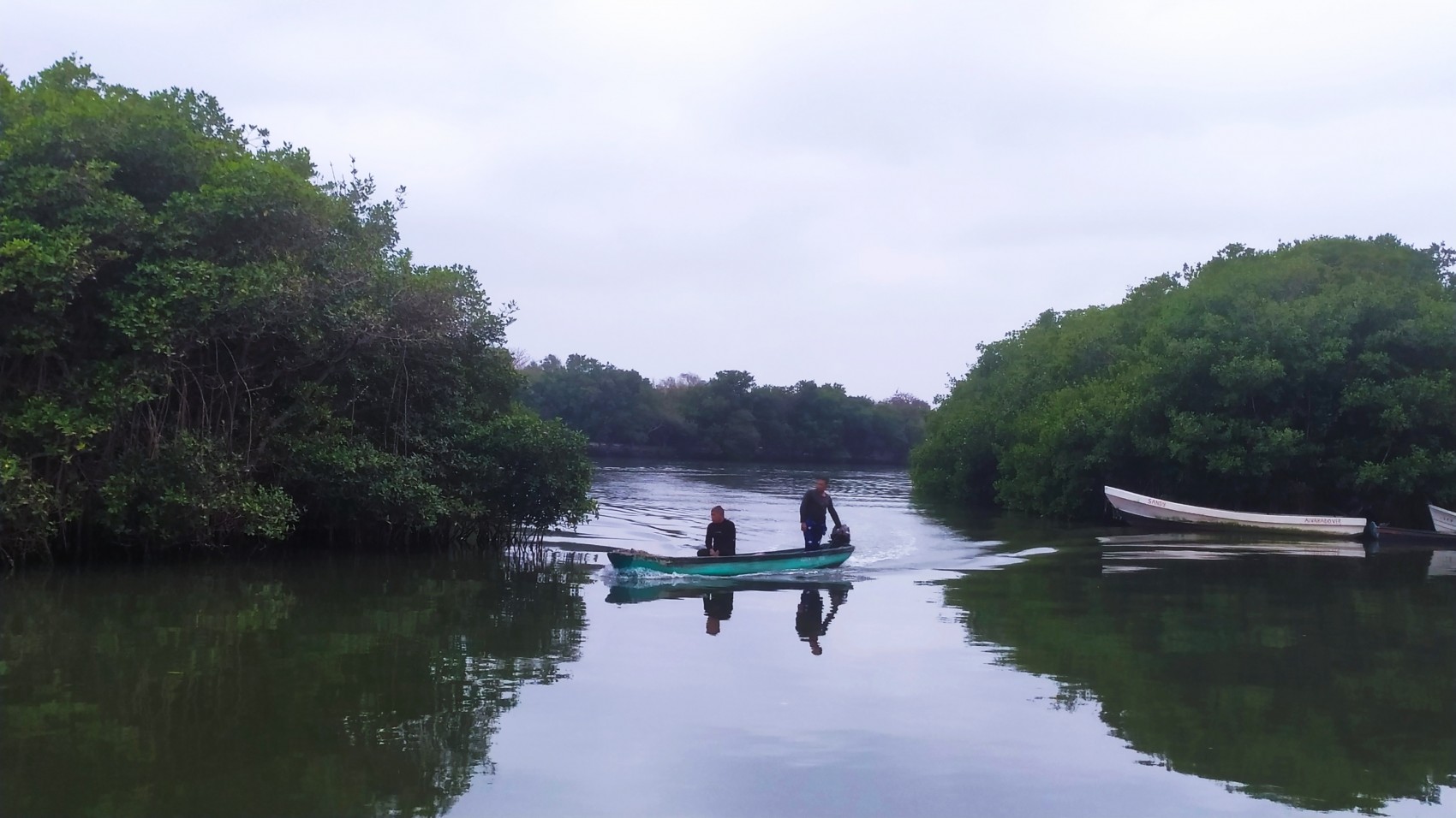Levantan veda de camarón en sistema lagunario de Veracruz; beneficia a 5 mil pescadores de Alvarado