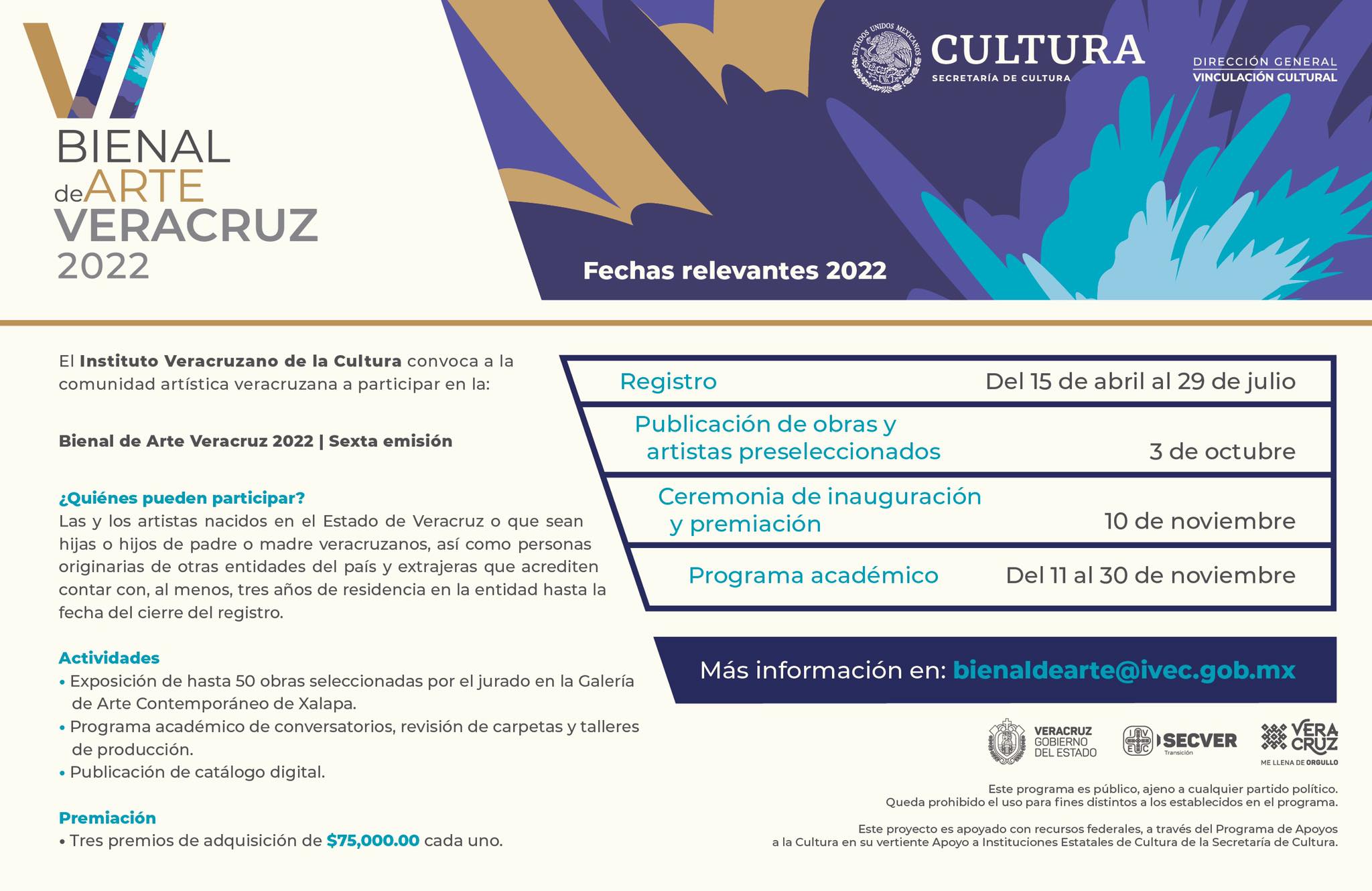 No dejes pasar la oportunidad de participar en la convocatoria para la VI Bienal de Arte Veracruz 20