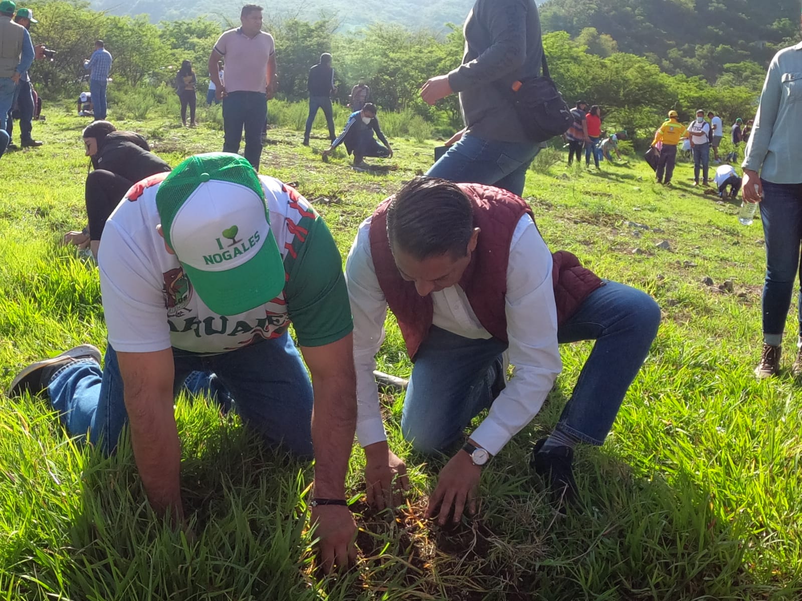 Inicia campaña de reforestación estatal, plantan 500 árboles en Nogales