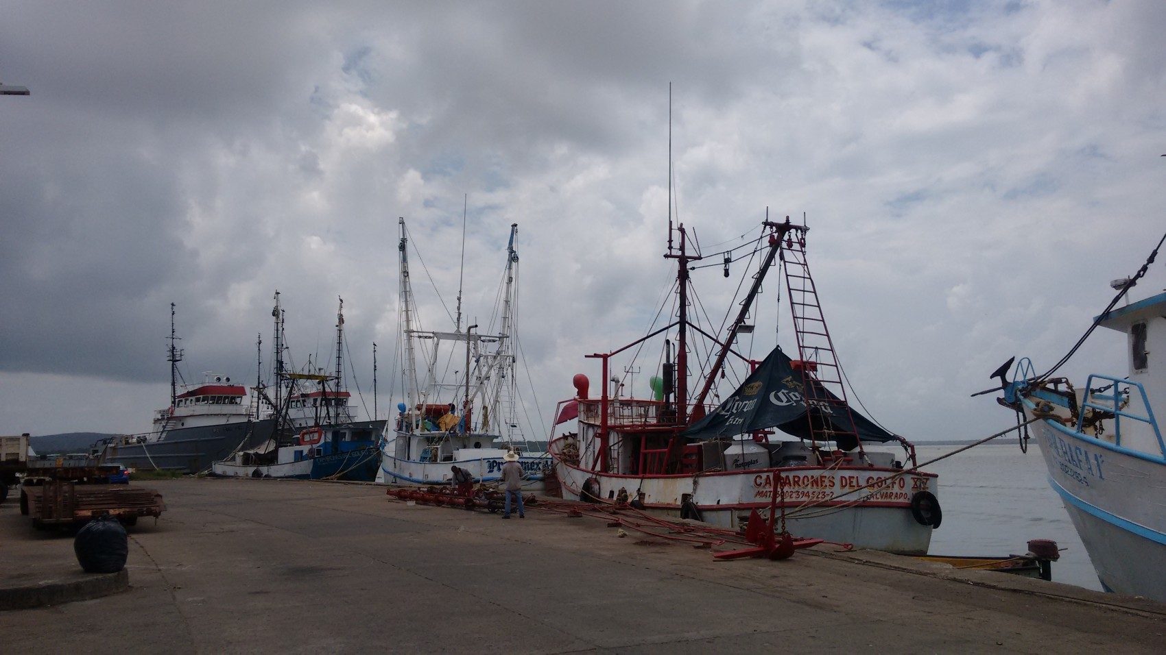 Cancelan proyecto portuario en Alvarado, pero otro avanza en zona Ramsar con trámite vigente ante Semarnat