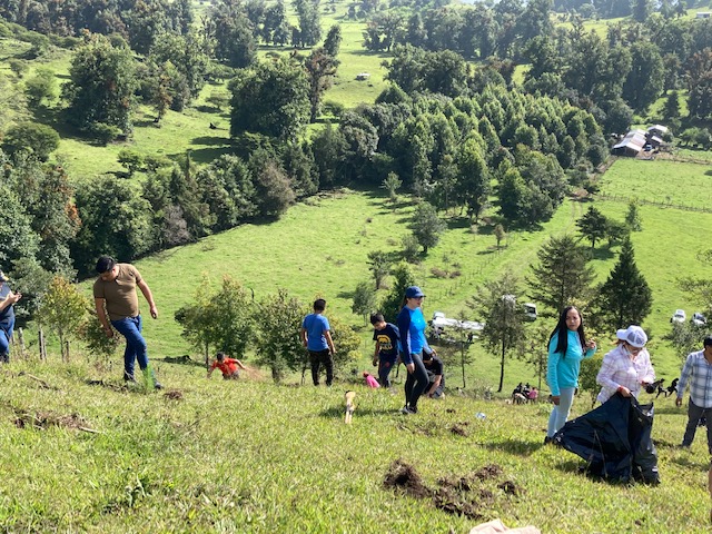 Urge reforestar 300 hectáreas devastadas por incendios en las faldas del Cofre de Perote