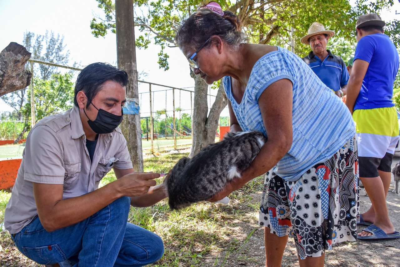 Conmemora Gobierno de Amado Cruz Día Mundial del Perro con jornada de vacunación
