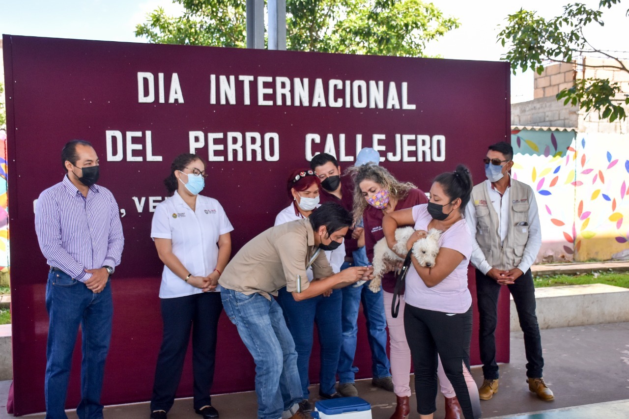 Presidente Amado Cruz conmemora Día del Perro Callejero con vacunación