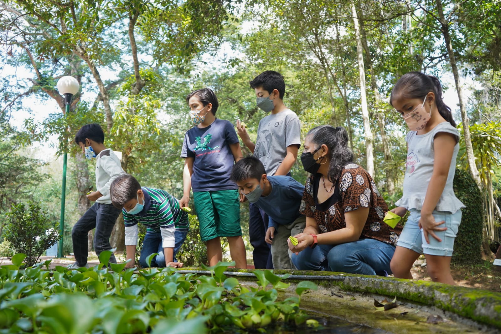 Un Verano entre árboles en el JEX, del 1 al 5 de agosto