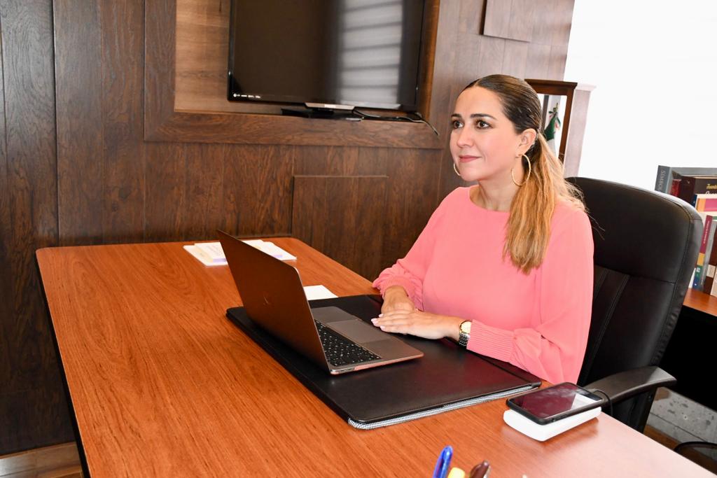 Priistas votamos contra la Ley Nahle porque no confeccionamos trajes a la medida: Anilú