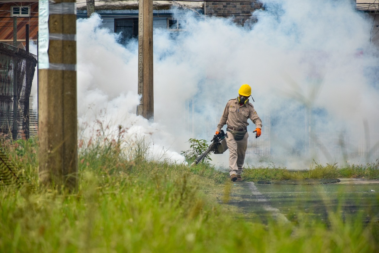 Solicitudes de fumigación contra el mosco del dengue serán rechazadas para no afectar a la fauna