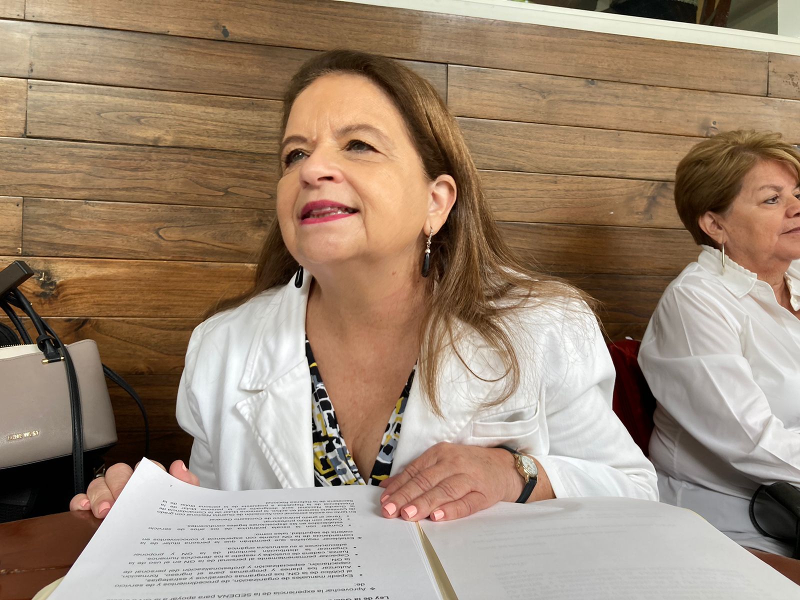 Encuestas para definir candidatos a diputaciones locales en Morena aún continúan