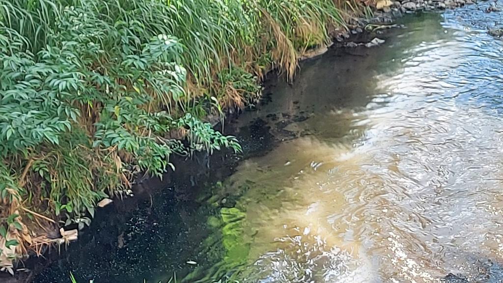 Nueva fuga de hidrocarburo contamina arroyo en Poza Rica