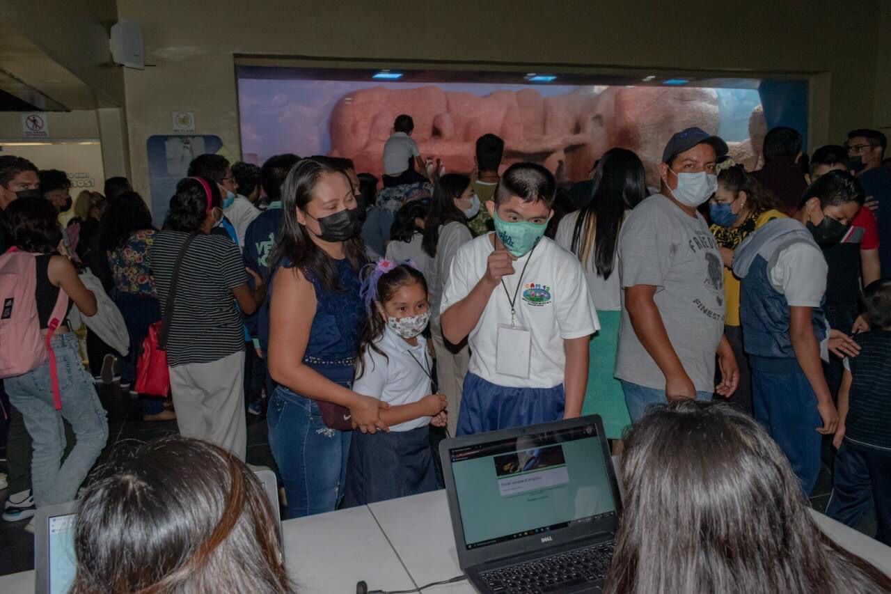 Pachi, Coco, Aqua, Leo y Mina, nombres de los pingüinos nacidos en el Aquarium de Veracruz