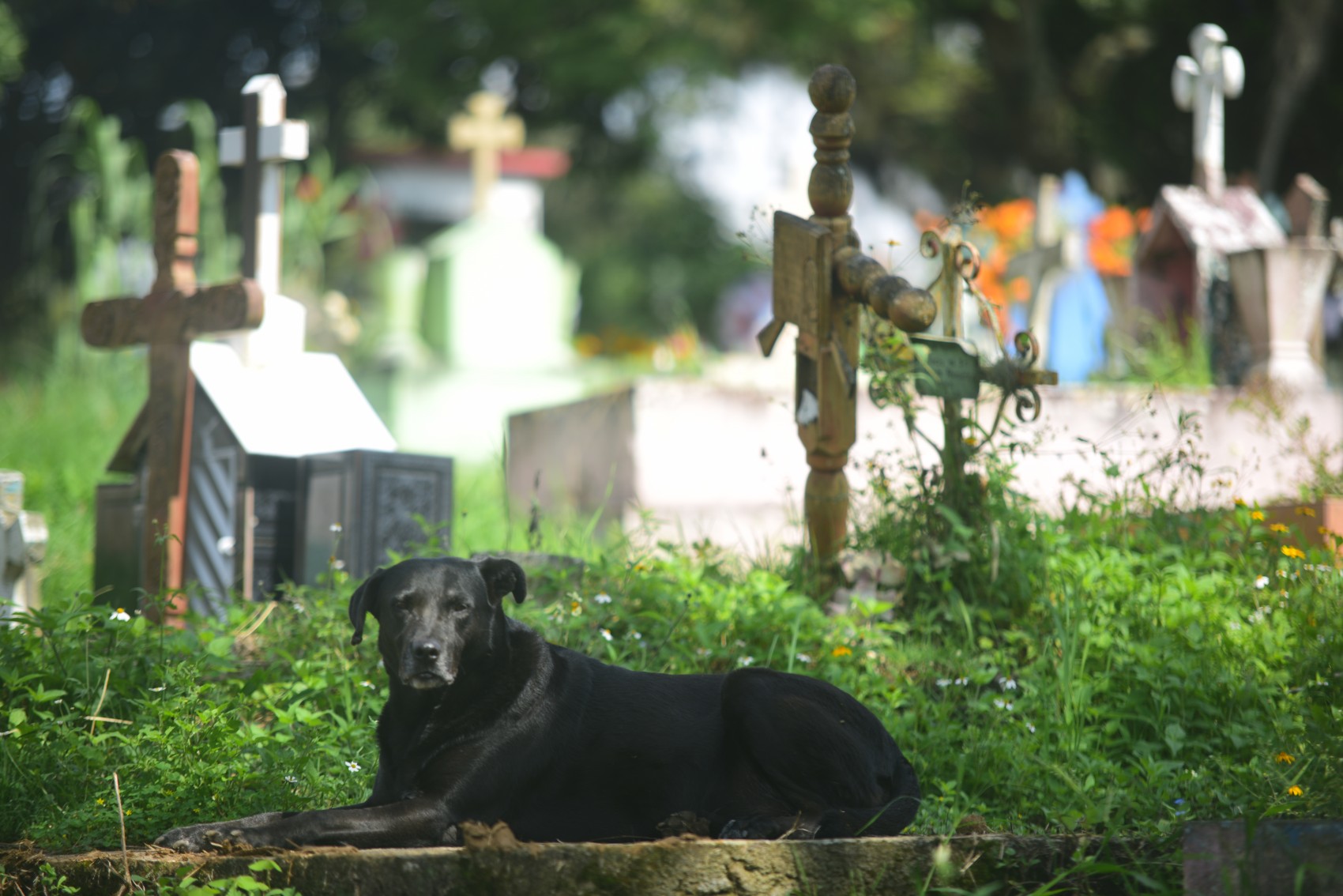 Hay más de mil cuerpos y restos en fosas comunes, sin identificar
