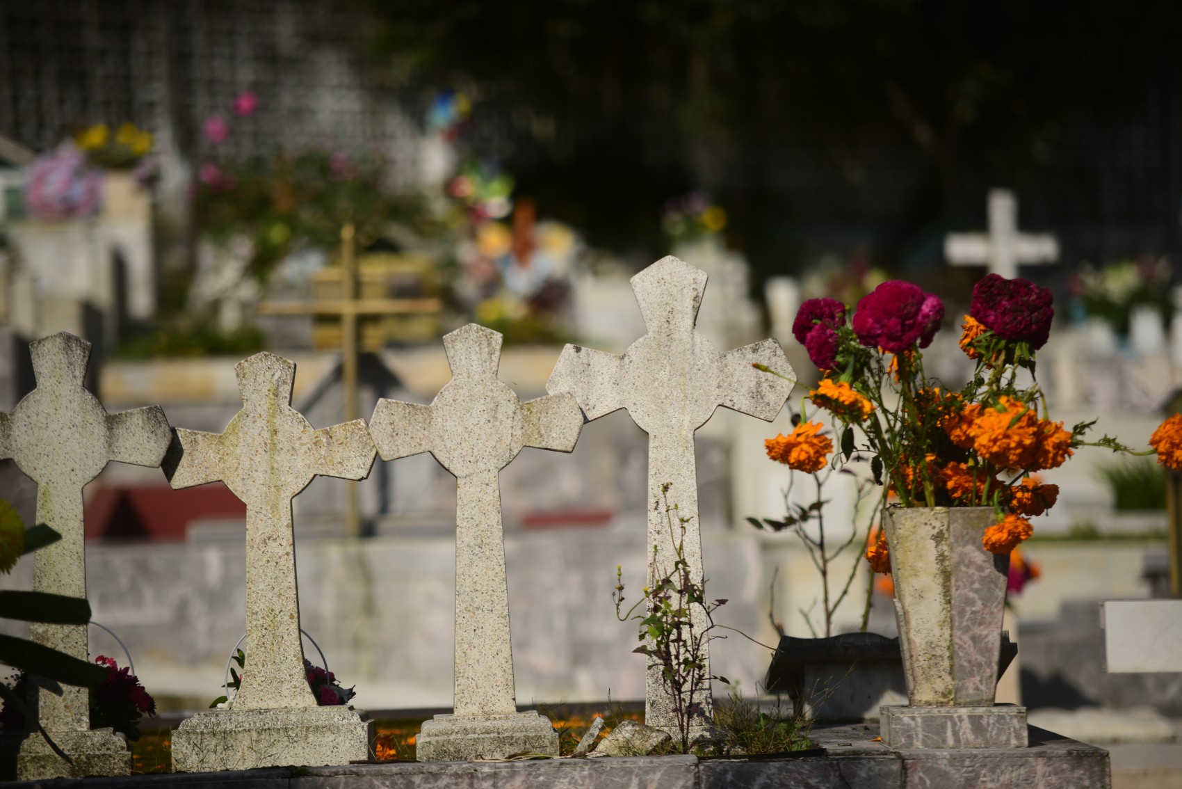 ¿De qué mueren los veracruzanos? Estas son las principales causas de muerte en 2024, según el INEGI