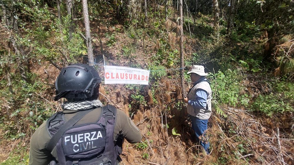 Operativo contra la tala clandestina en las Altas Montañas