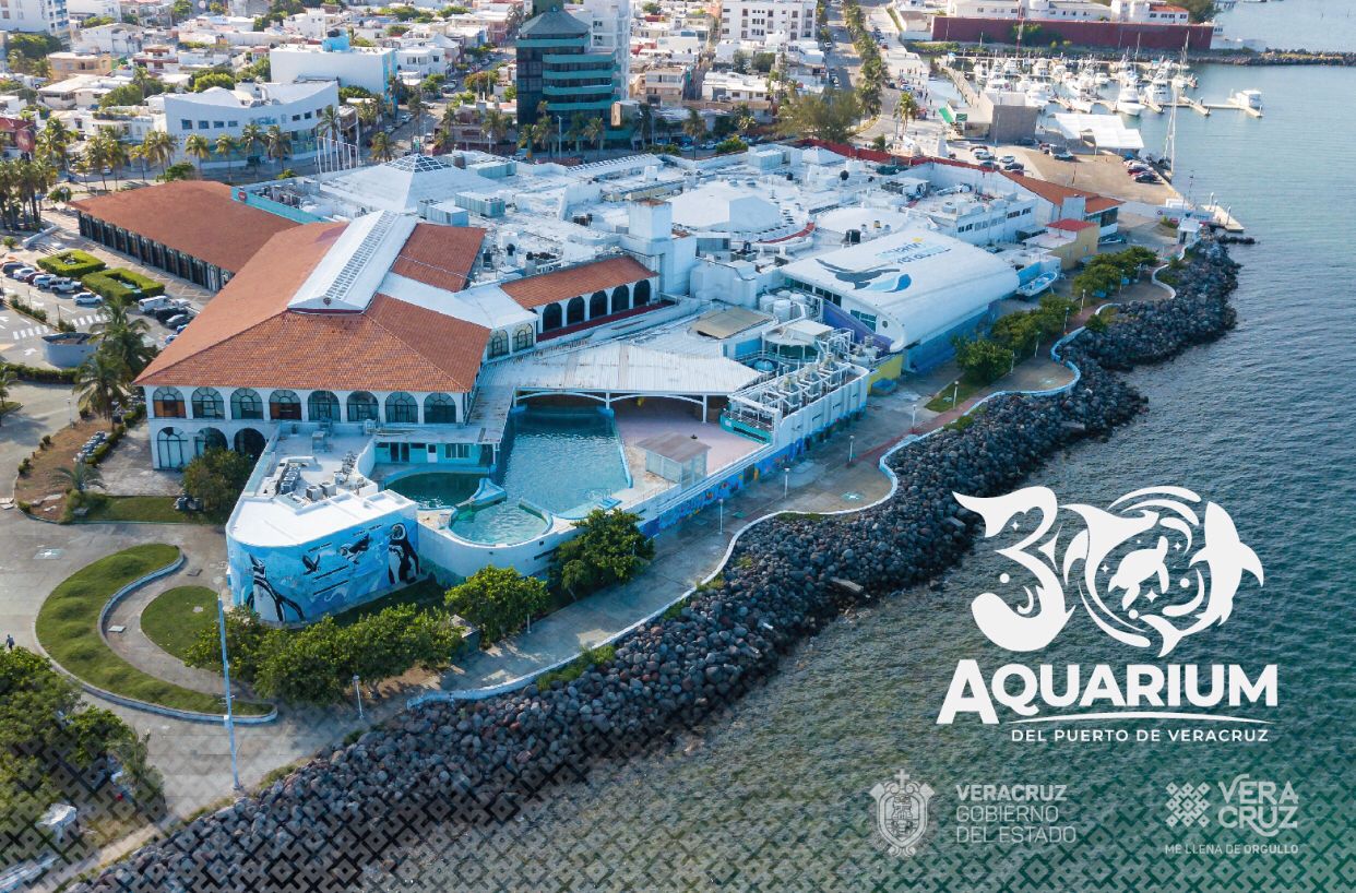 Celebrarán 30 años del Aquarium del puerto de Veracruz con concierto este domingo