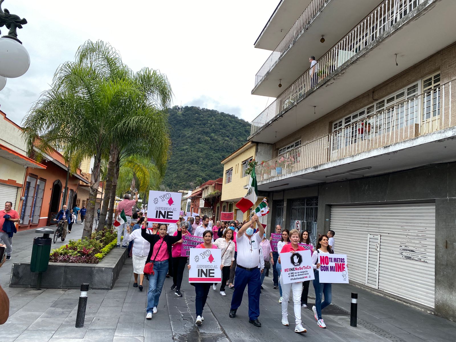 Desperdicio de recursos acudir a marcha convocada por AMLO: Consejero del INE