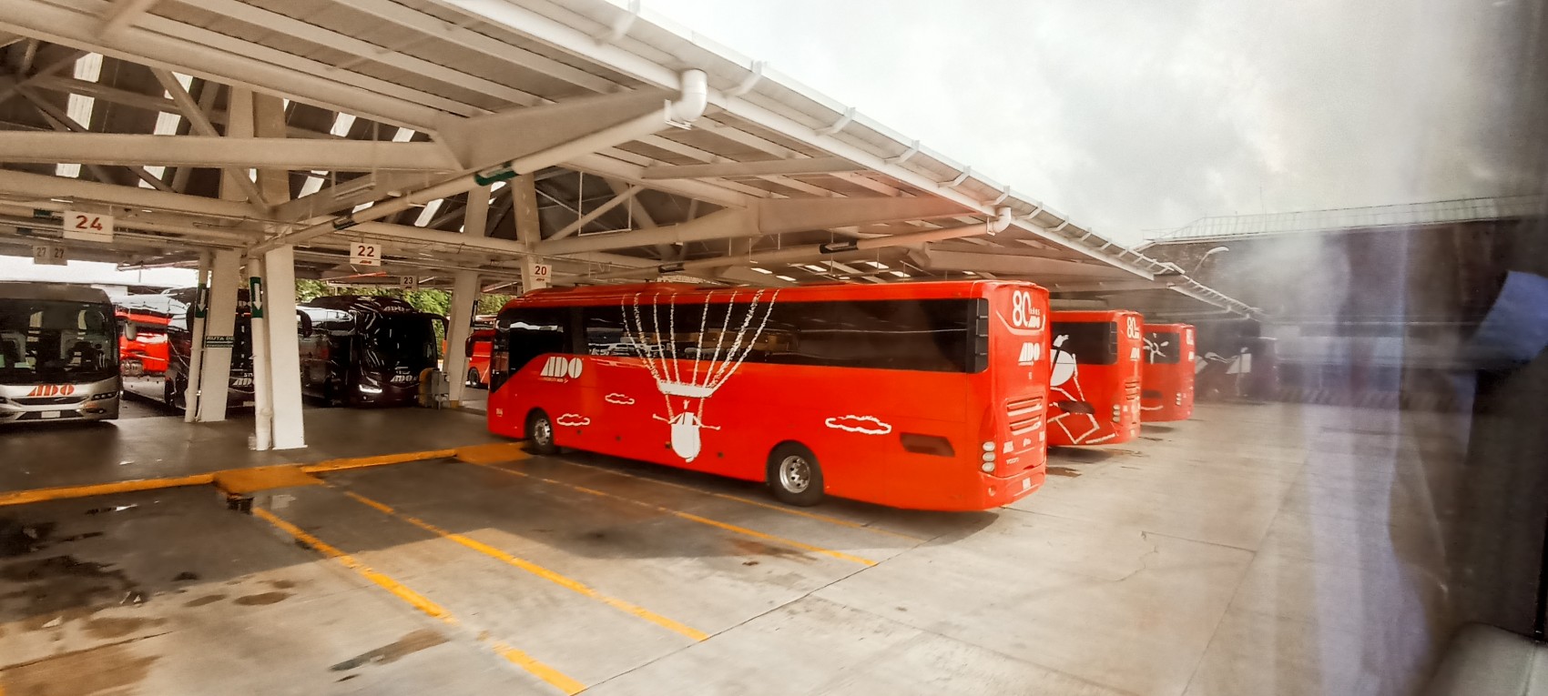 Cumbres de Maltrata, un foco rojo para el autotransporte de pasajeros: ADO