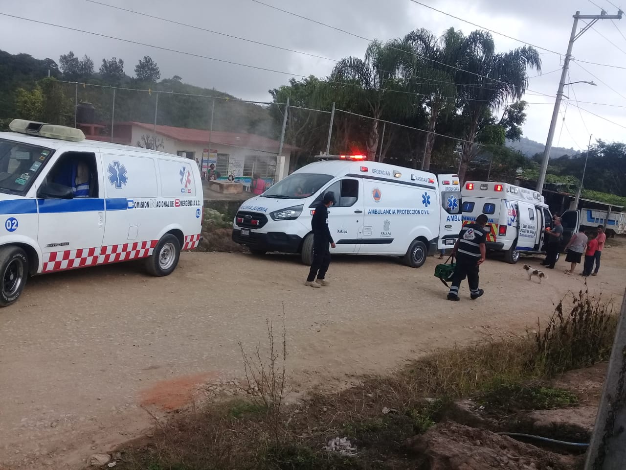 Enjambre de abejas ataca a estudiantes menores de edad de escuela en El Castillo