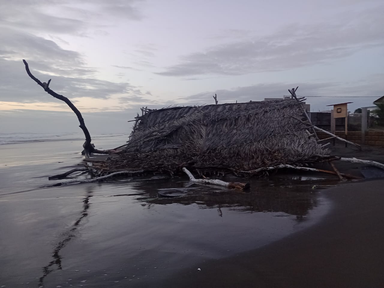 Norte y marea alta dañan palapas de la playa de Chachalacas