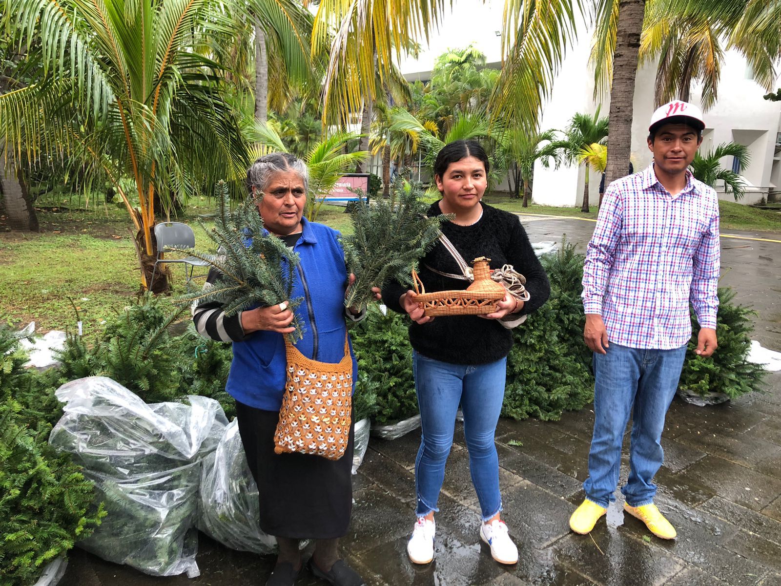 Venta de arbolitos y adornos navideños de mujeres de El Conejo, llega a Veracruz-Boca del Río