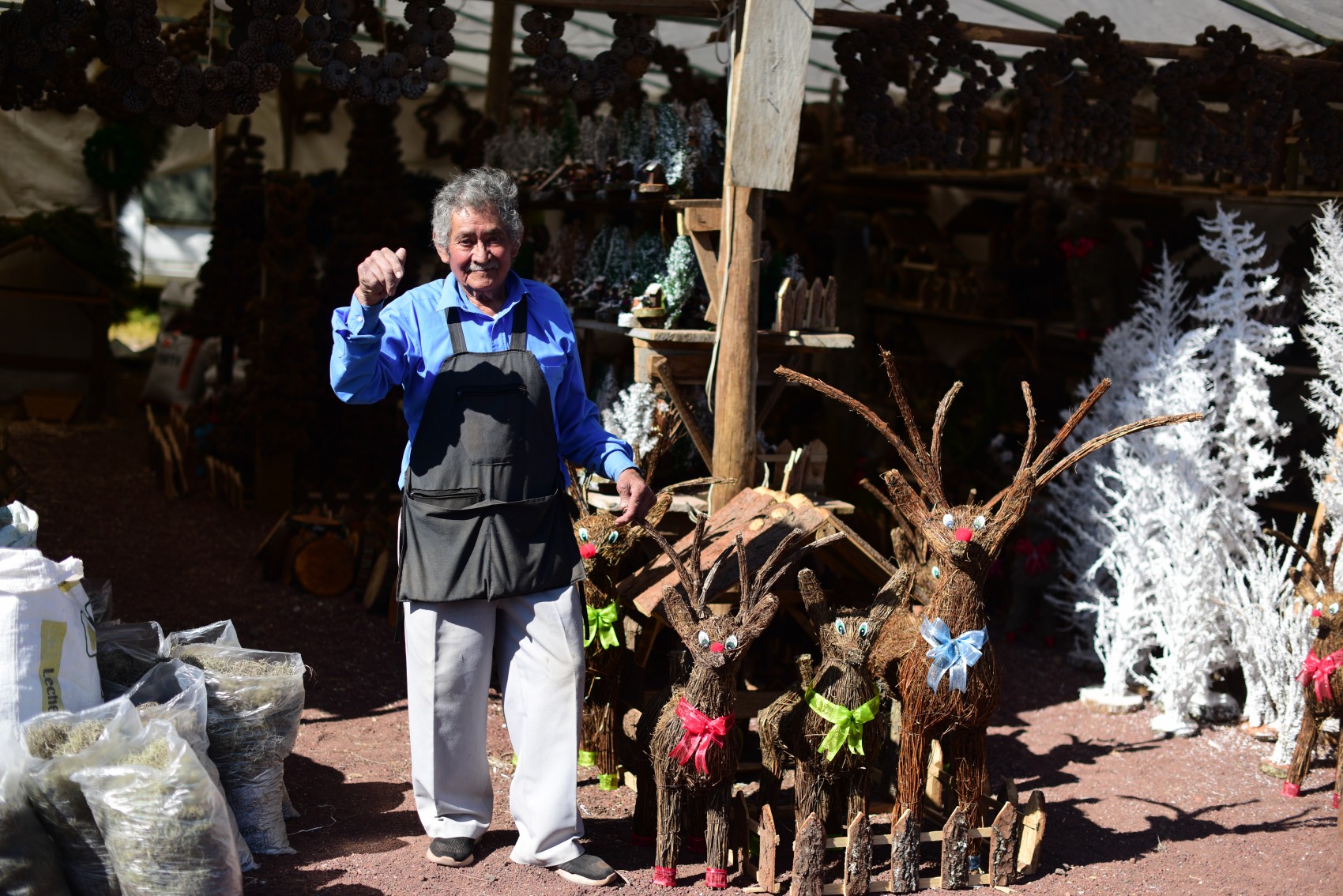 Tianguis navideño de Piedra  Blanca, 25 años de tradición