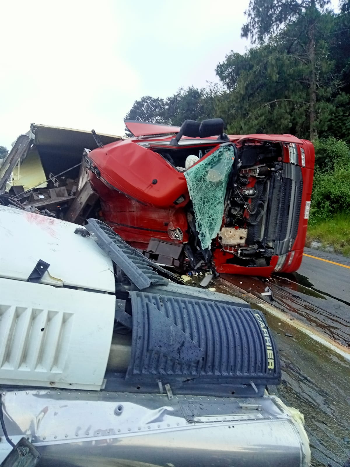 Vuelca tráiler con pollo en las cumbres de Maltrata, rapiñeros entran en acción