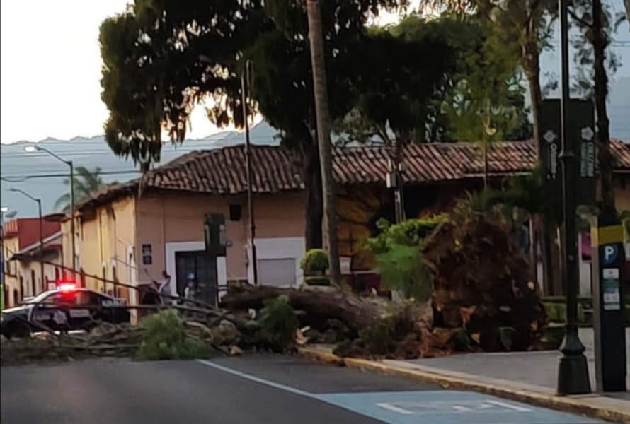 Un herido deja surada en la ciudad de Orizaba