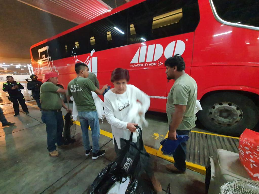 Aseguran seis monos araña en la central de autobuses de Córdoba