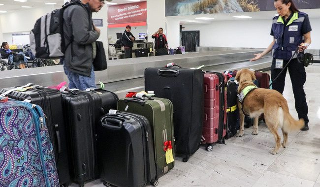 Regresaron 19 veracruzanos varados en Perú