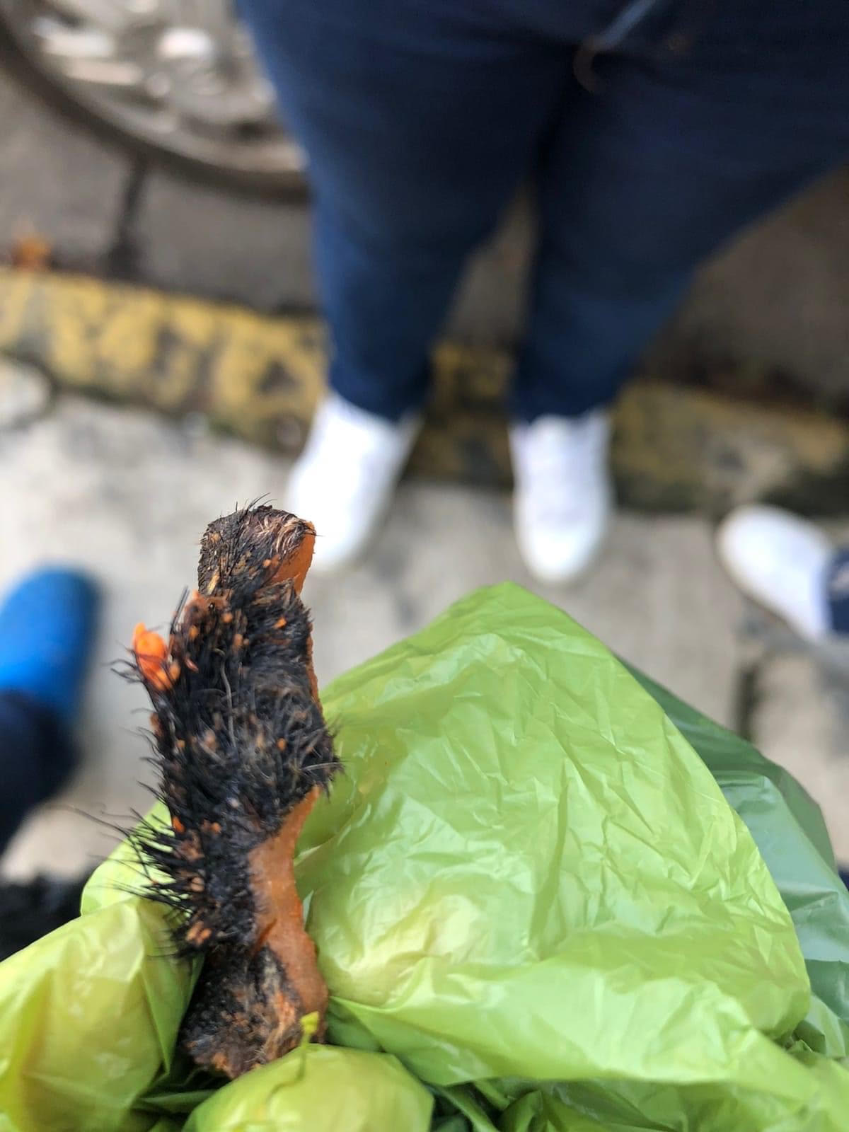 Compra torta y encuentra pedazo de carne que sospecha es de perro