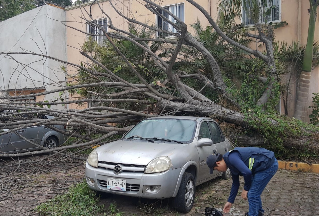 FF 19 impacta Poza Rica y activan refugio temporal