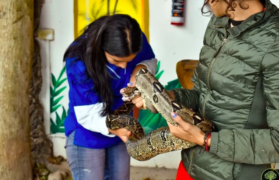 Rescatan boa en universidad de la Riviera Veracruzana