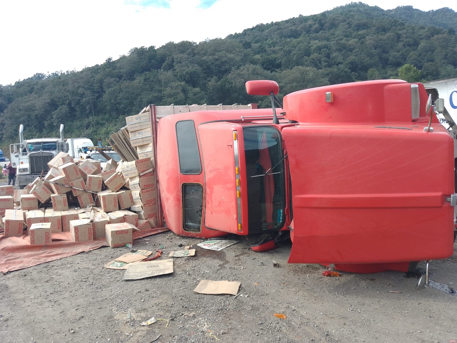 Vuelca camión con cajas de huevo  y rapíñeros se llevan mercancía