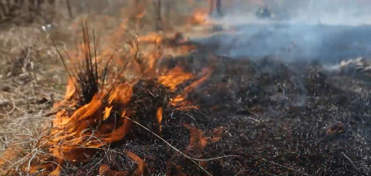 Aumentan un 70% los incendios forestales en Veracruz en el 2022: Conafor
