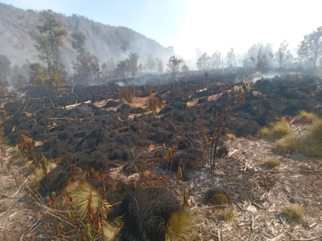 Incendio en el Parque Nacional Cofre de Perote sigue activo