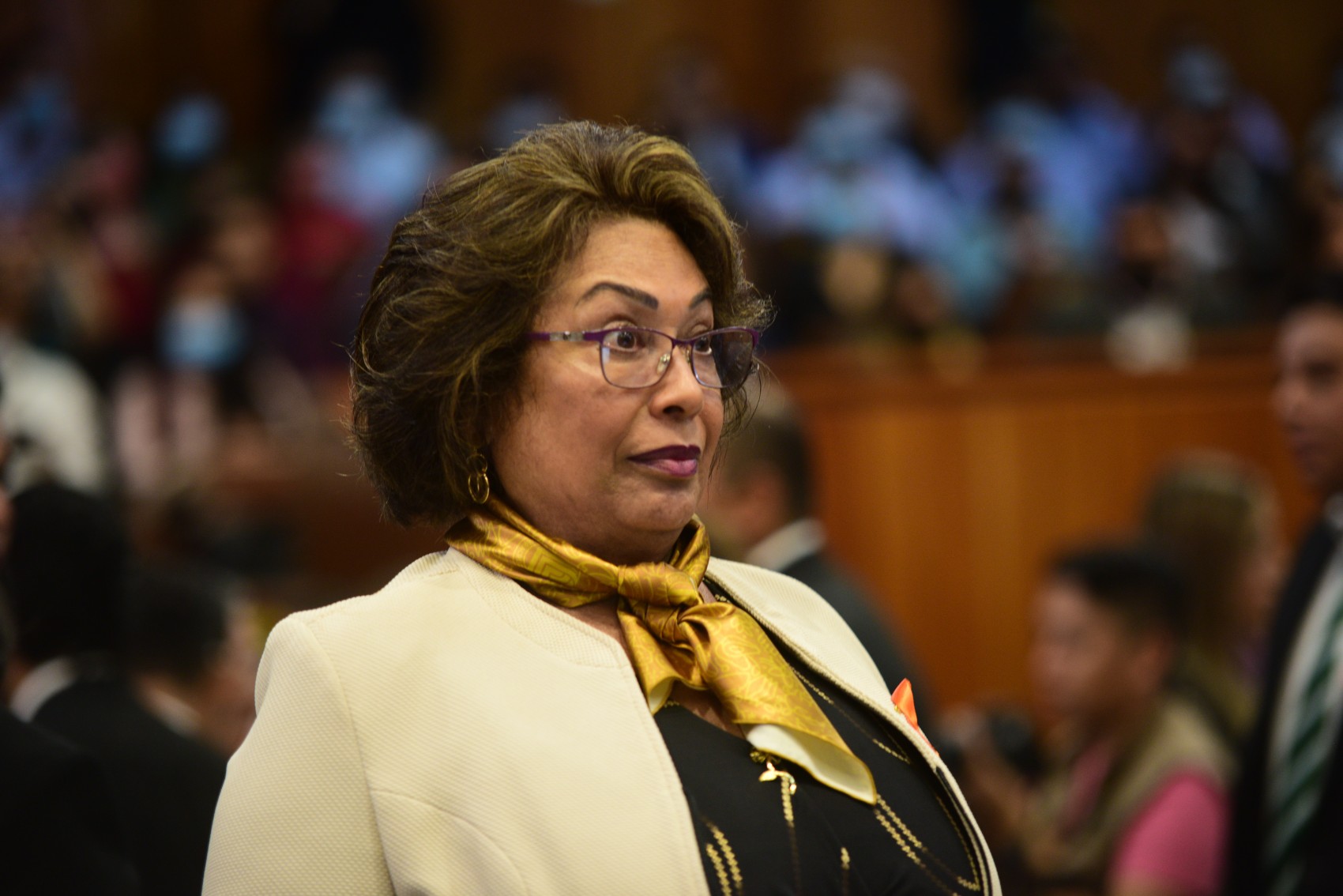 Se presentarán más de 40 denuncias por daño patrimonial: Orfis