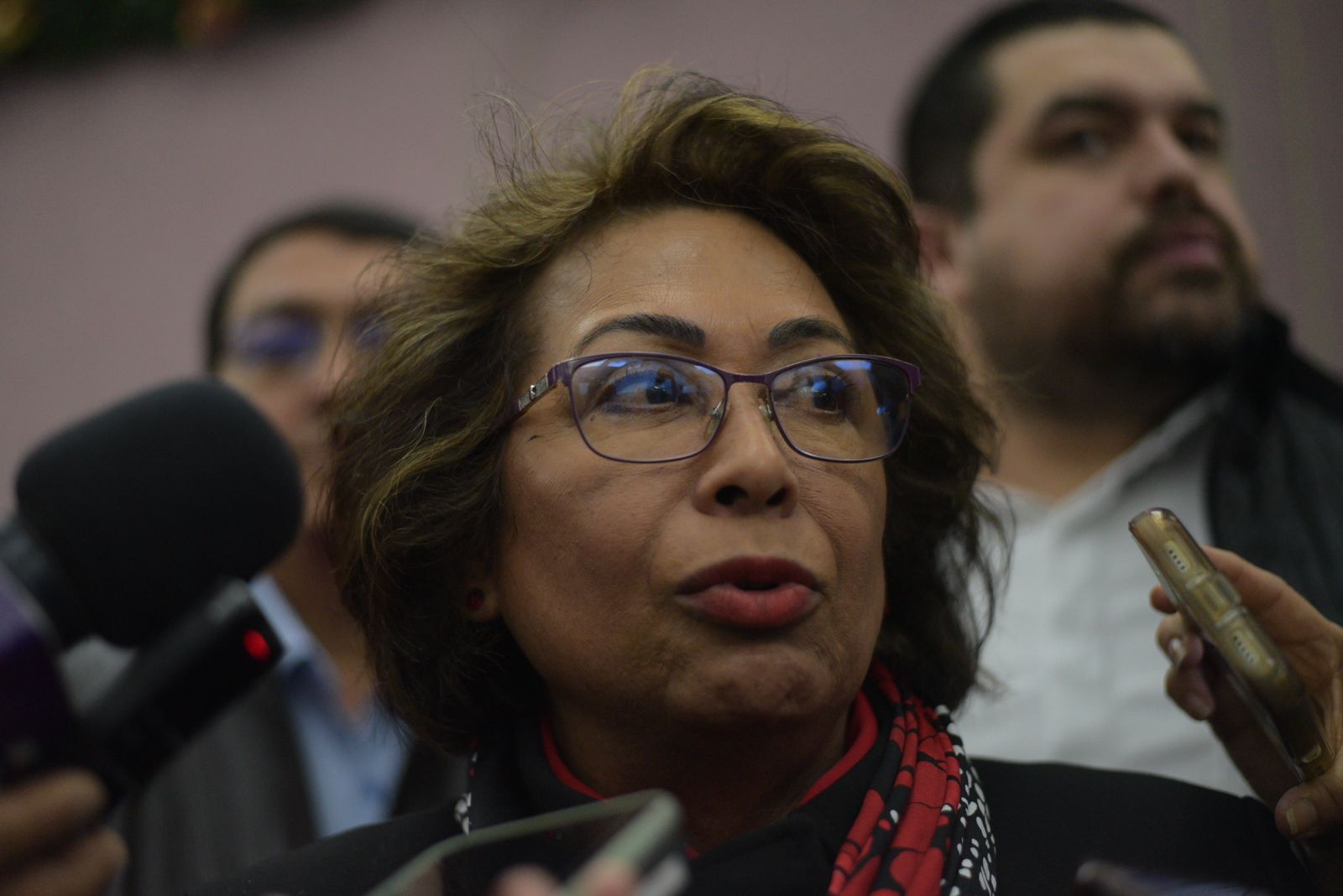 Auditora se pronuncia a favor de sancionar con mayor penalidad el desvío de recursos públicos