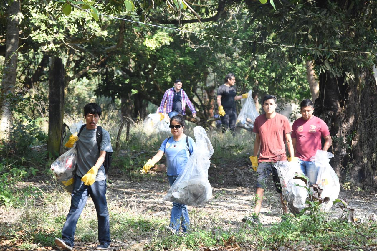 Recolectan 300 kilos de basura en los manglares de la Laguna