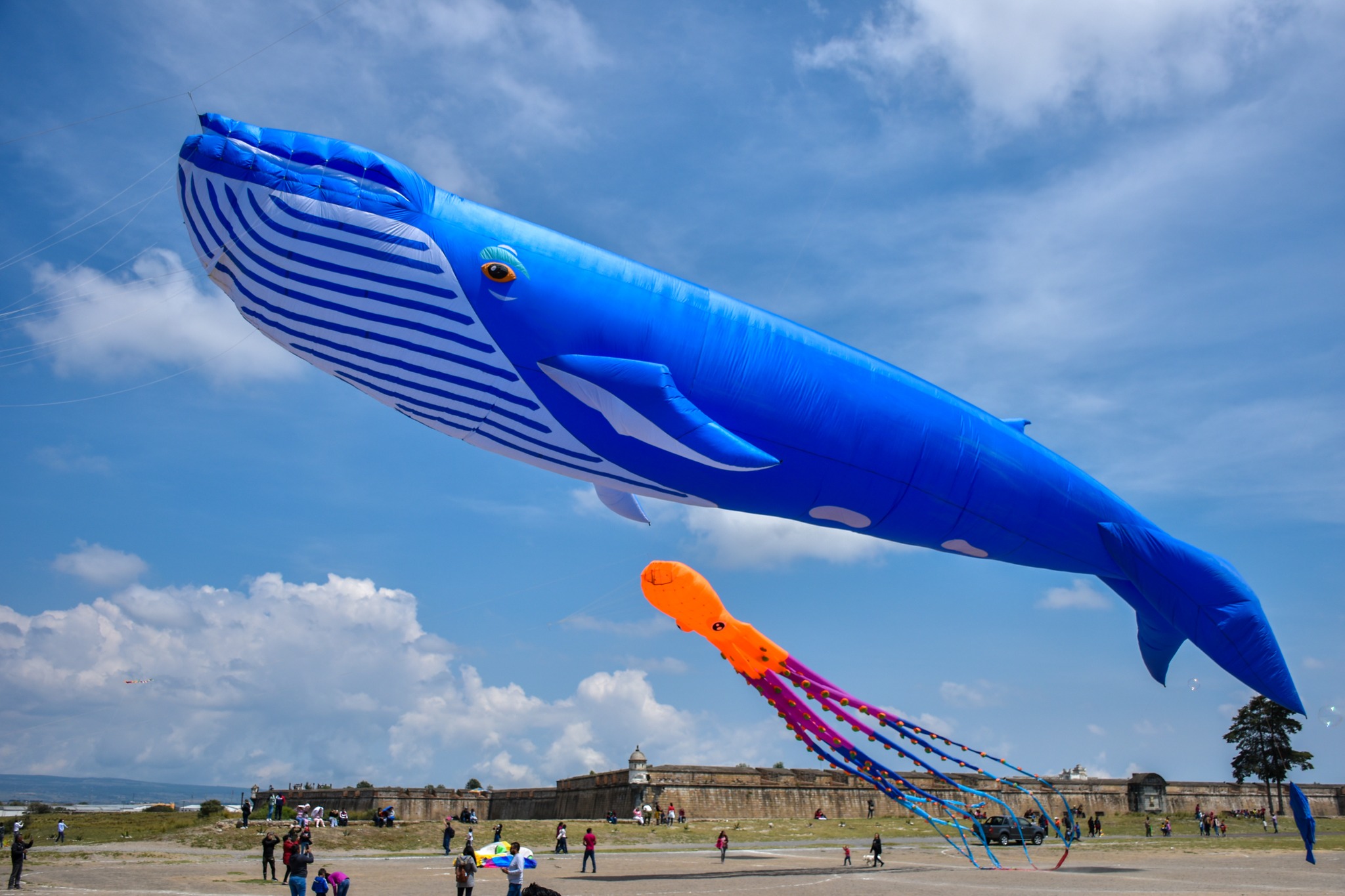 Festival de papalotes “Gigantes en el Cielo” llegará a Perote