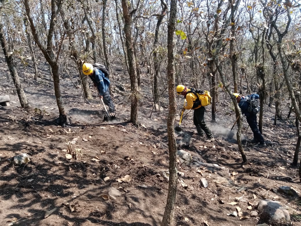 Se reportan cinco incendios activos en la zona centro de Veracruz