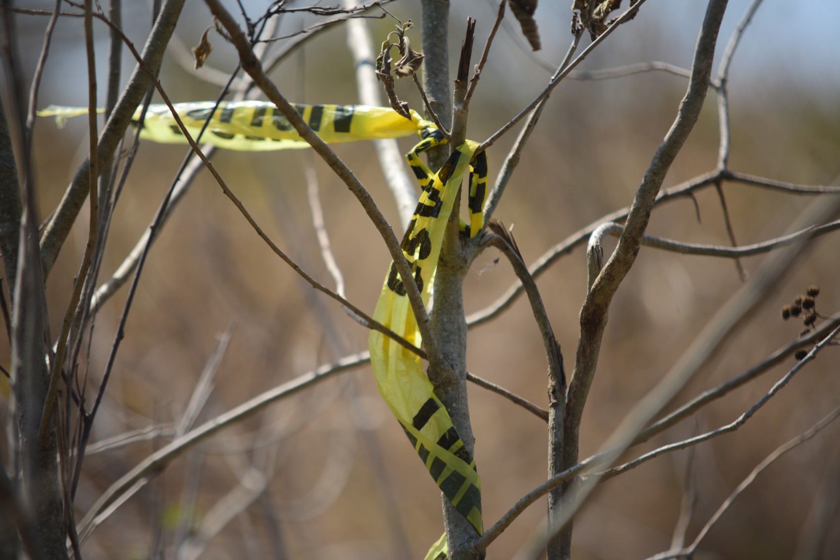 Sólo identifican 40 de casi 500 restos hallados en Colinas de Santa Fe