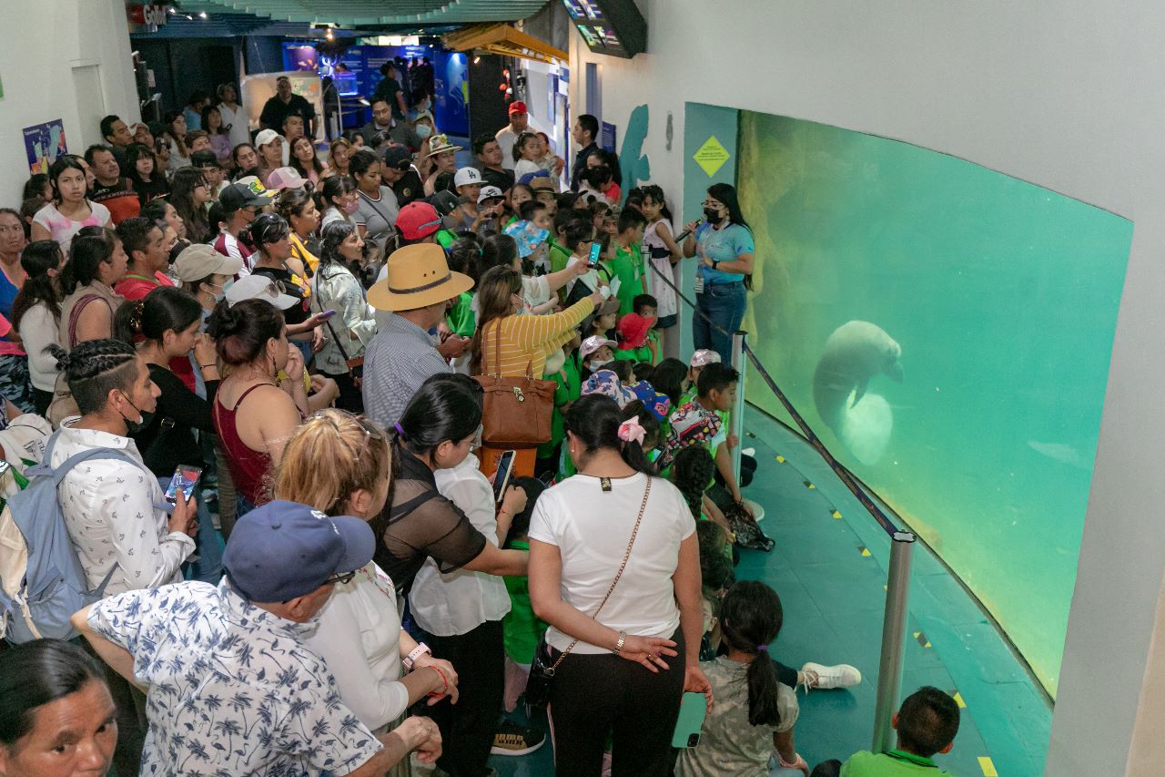 Siete mil 500 personas disfrutaron del martes gratuito del Aquarium del Puerto de Veracruz