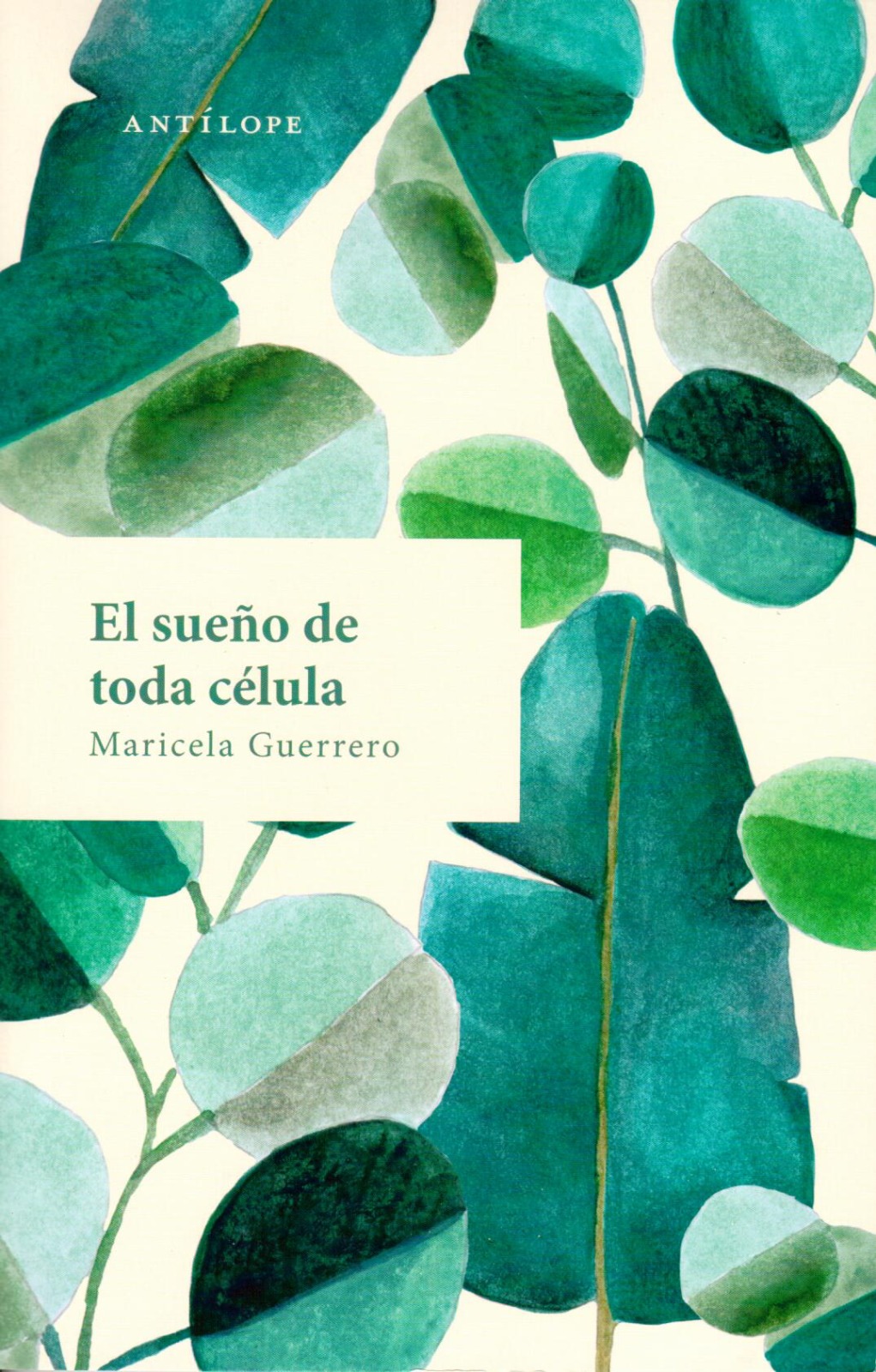 Presenta CEVART el libro El sueño de toda célula, de Maricela Guerrero