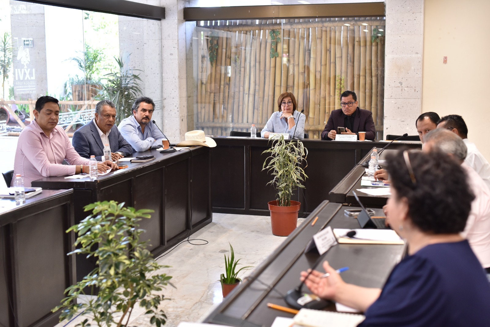 Continúa análisis para consolidar una ley que beneficie a aguacateros