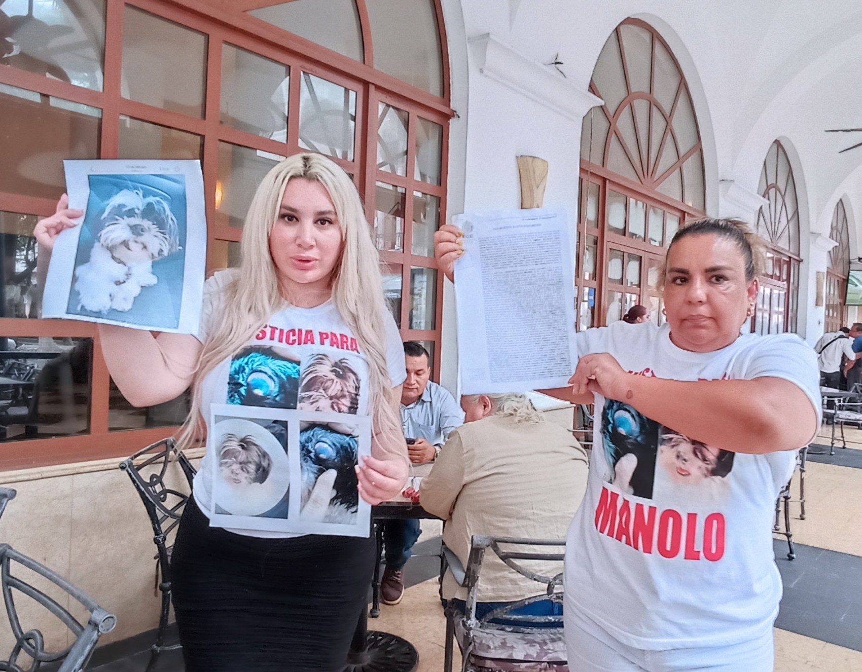 Denuncian negligencia y maltrato animal en Escuela Hotel para perros de Boca del Río