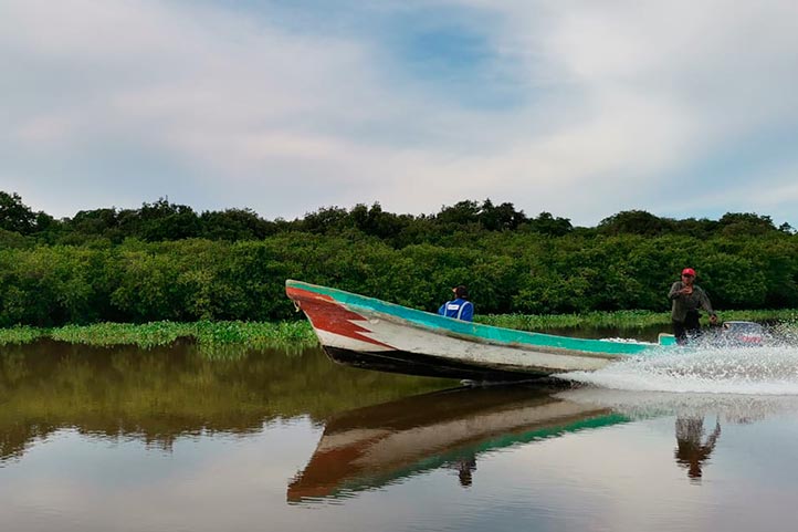 Desbordan ríos del norte de Veracruz por lluvias intensas