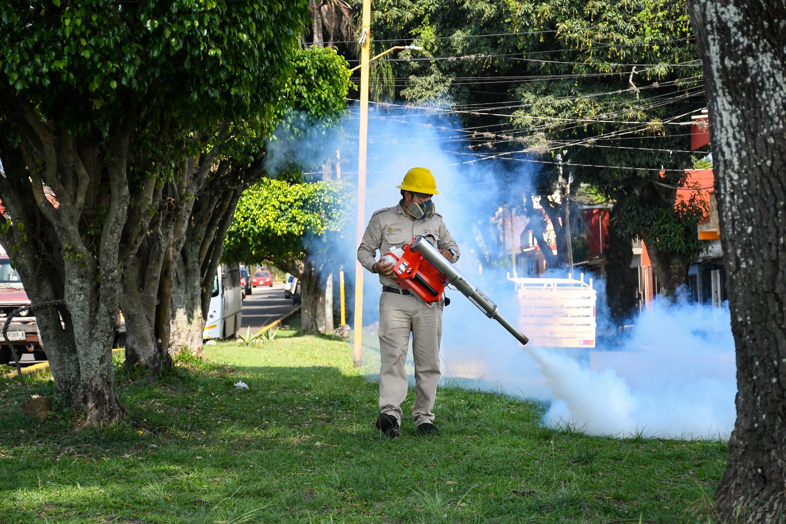 Veracruz acumula 144 casos de dengue