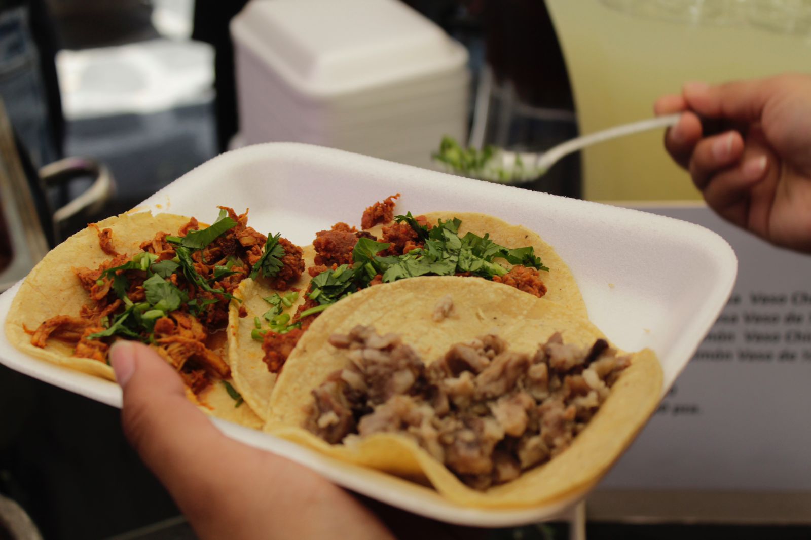Xalapa celebra en grande al taco en su día