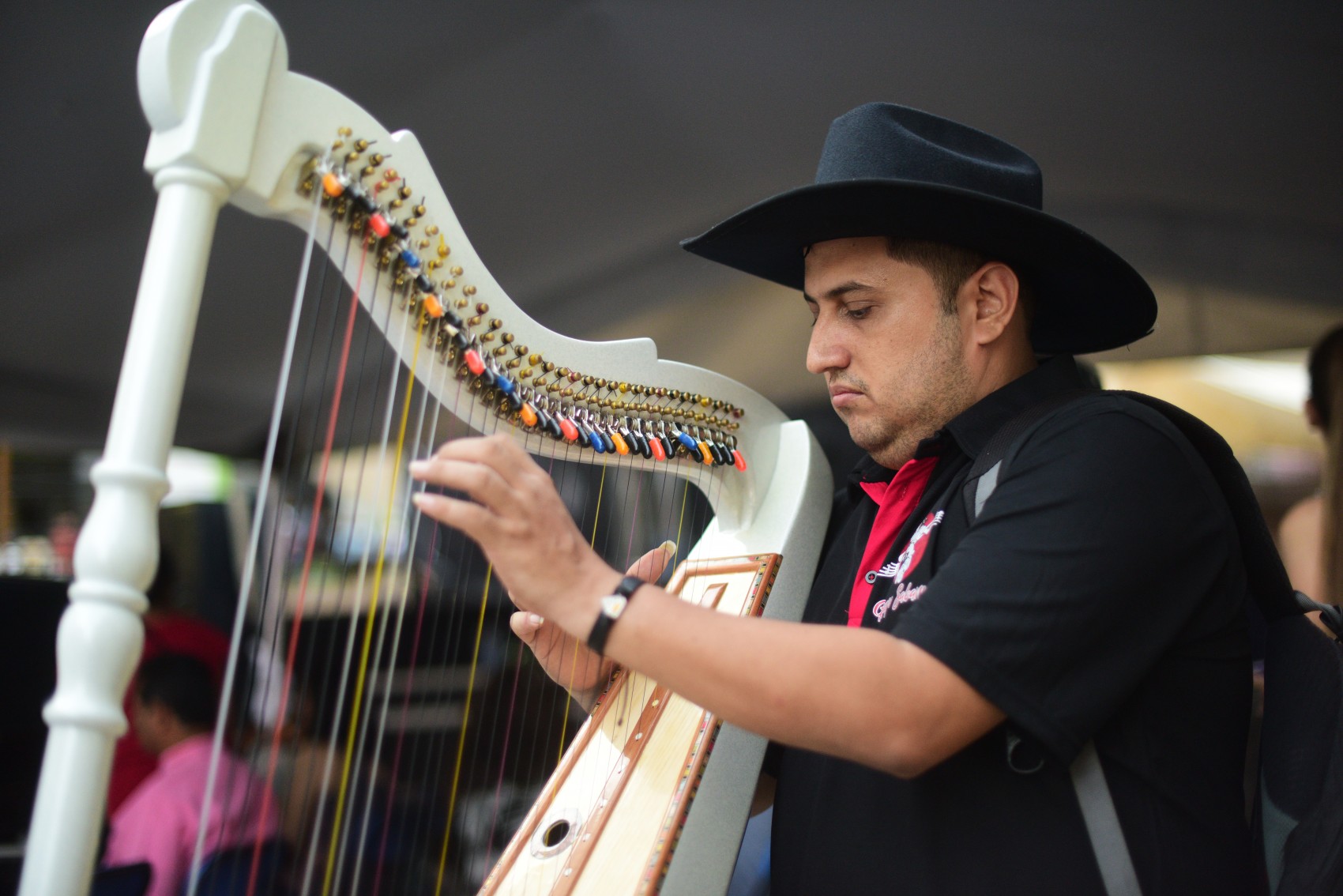 México y Colombia, hermanados por la música